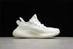 350 V2 - Image 3