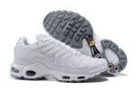 TN1
