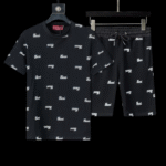 DD – SET