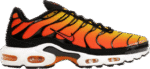 TN1