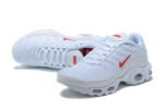 TN1